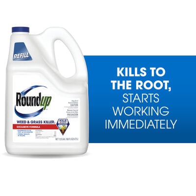 Roundup® Weed & Grass Killer₄ Refill