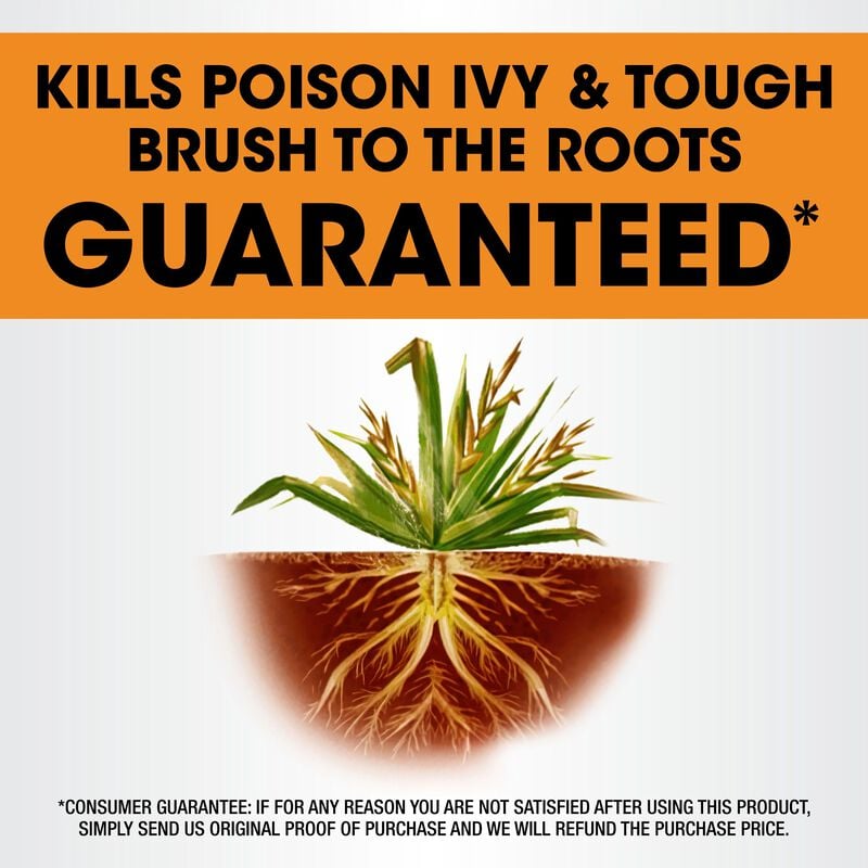 Roundup Poison Ivy Plus Tough Brush Killer₂ with Comfort Wand image number null