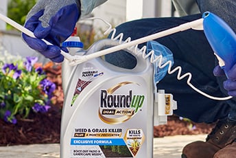 Kill and prevent Driveway and Patio Weeds and Grasses, Roundup